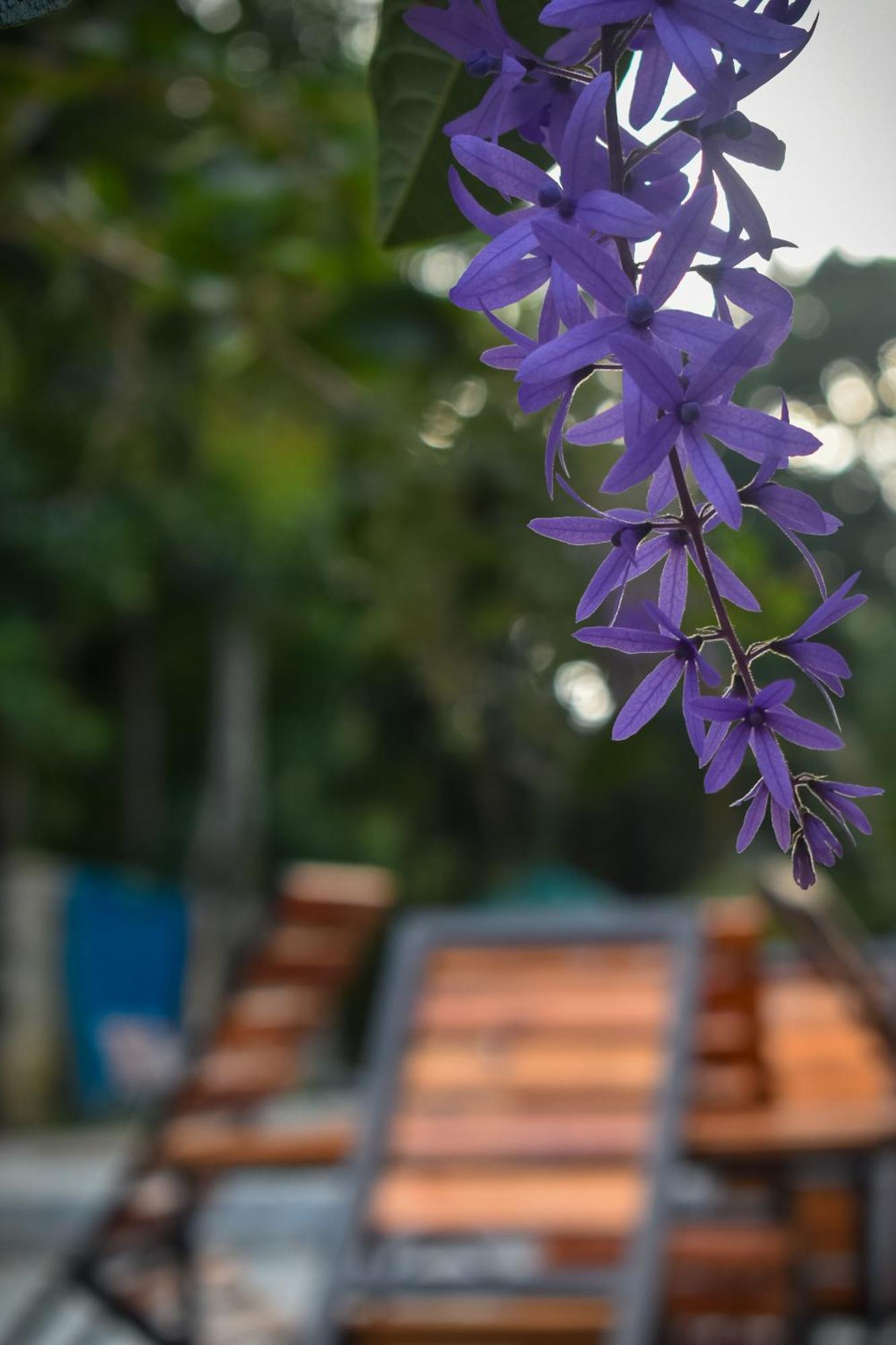 Villa Tranquil Kandy Peradeniya Buitenkant foto