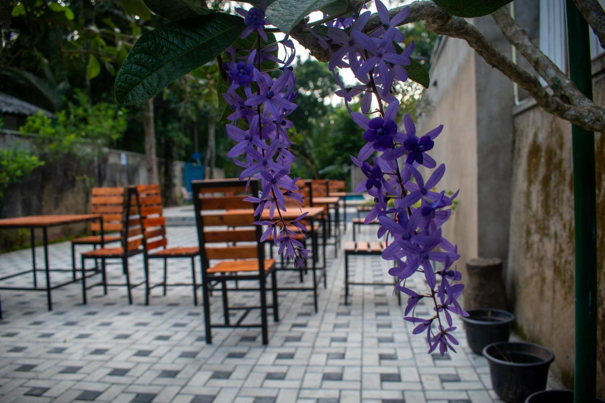 Villa Tranquil Kandy Peradeniya Buitenkant foto
